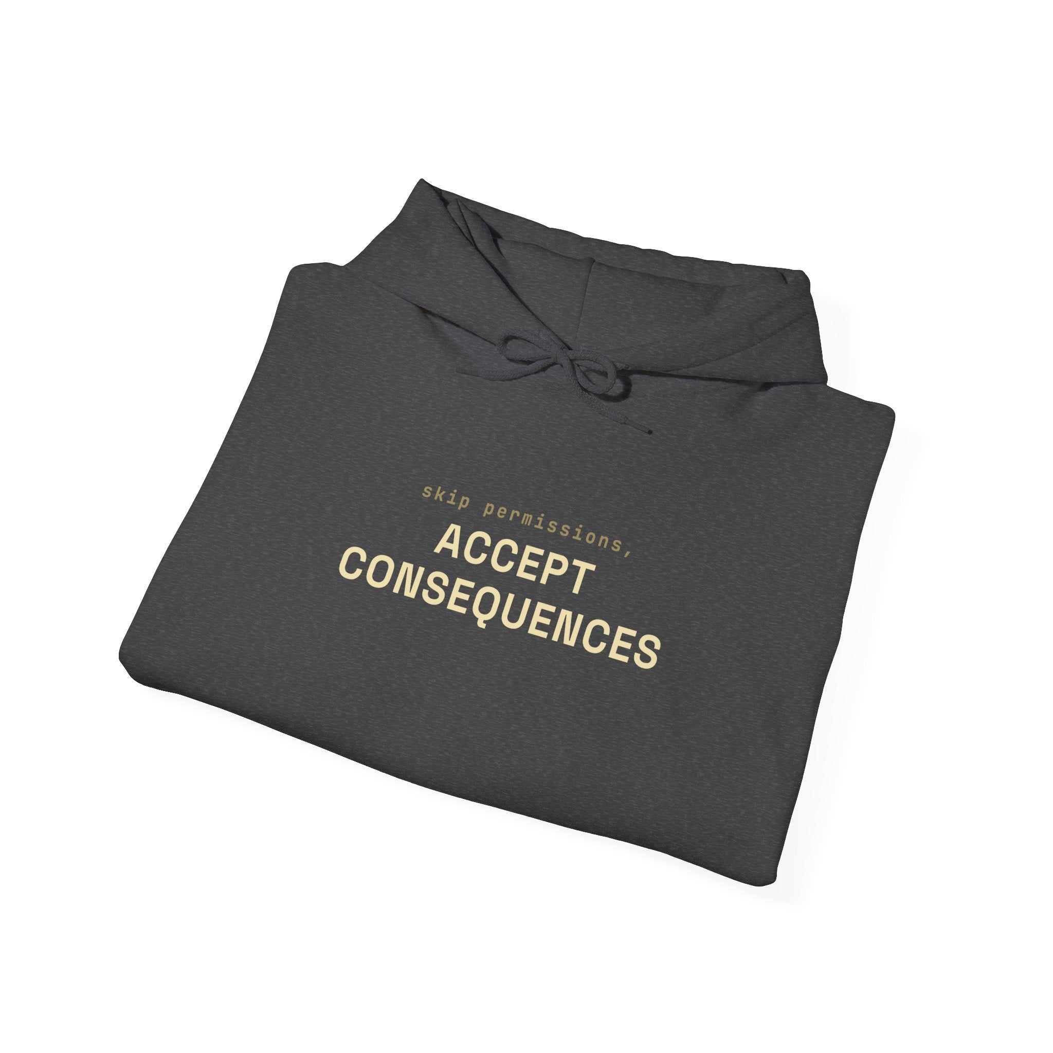 Skip permissions, accept consequences Hoodie