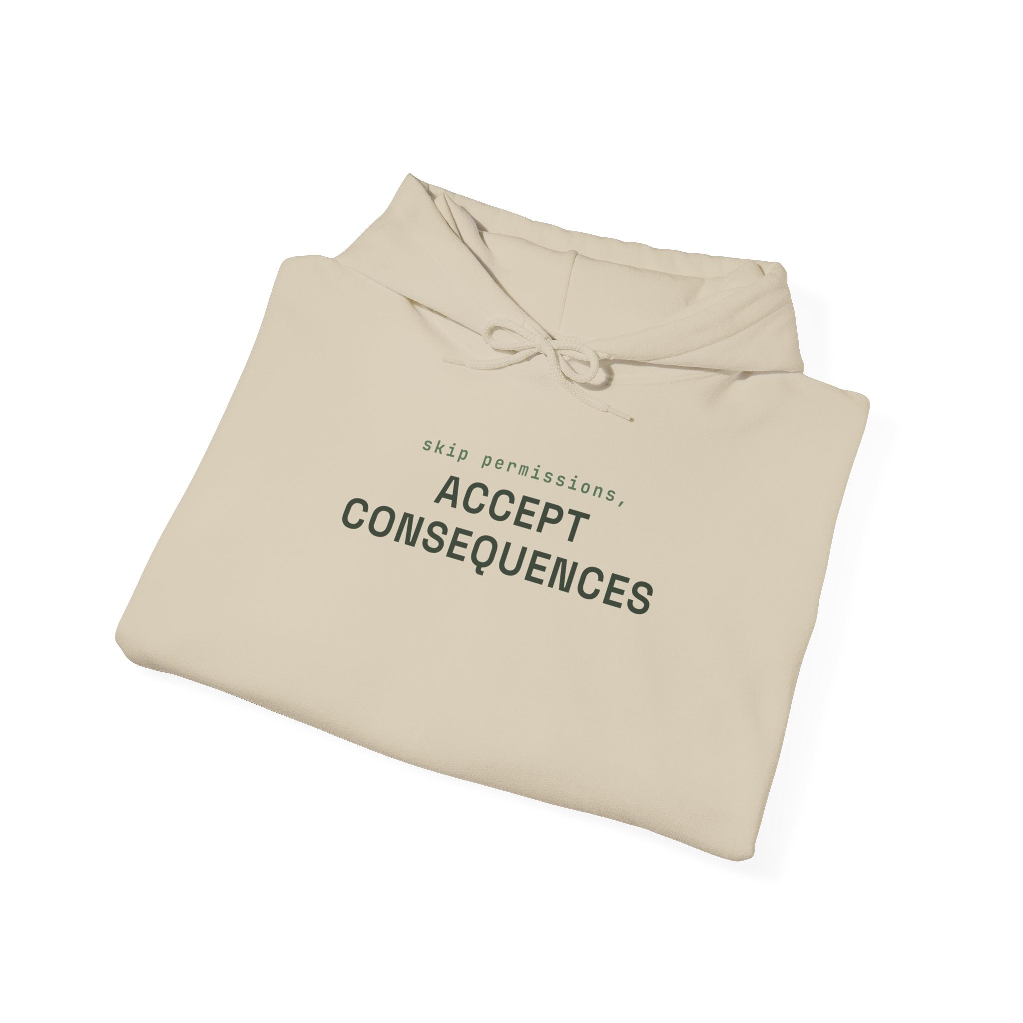 Skip permissions, accept consequences Hoodie